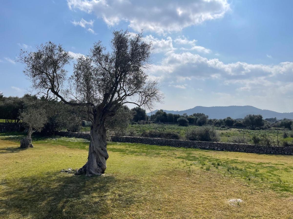 Finca Son Amoyana * Capdepera (Mallorca)
